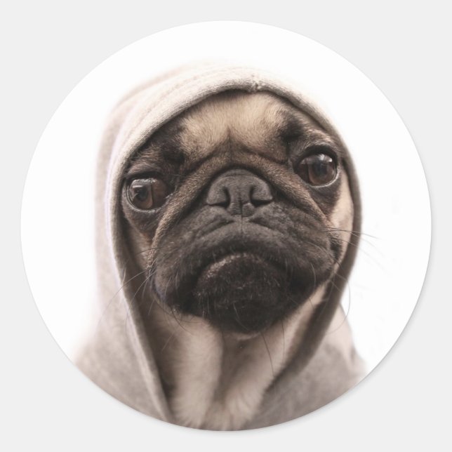 Pegatina Redonda Pug In A Hoodie (Anverso)