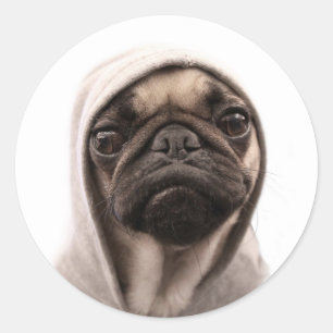 Pegatina Redonda Pug In A Hoodie