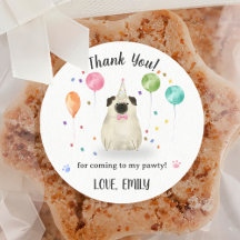 Pug Lets Dog Cumpleaños Gracias