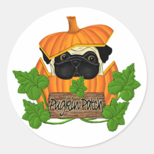 Pegatina Redonda Pug Pumpkin Patch