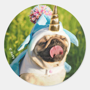 Pegatina Redonda Pug unicornio