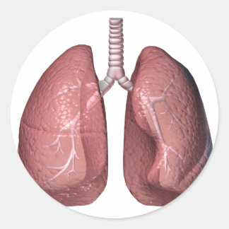 Pegatina Redonda pulmones