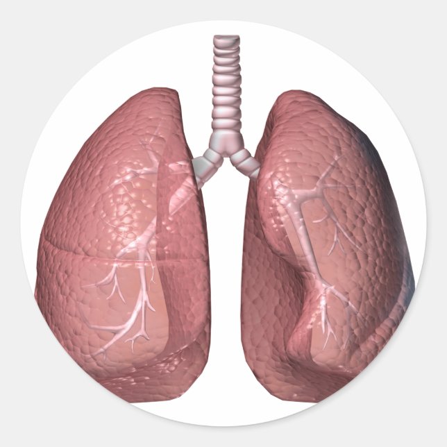 Pegatina Redonda pulmones (Anverso)