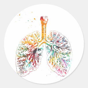 Pegatina Redonda Pulmones anatómicos