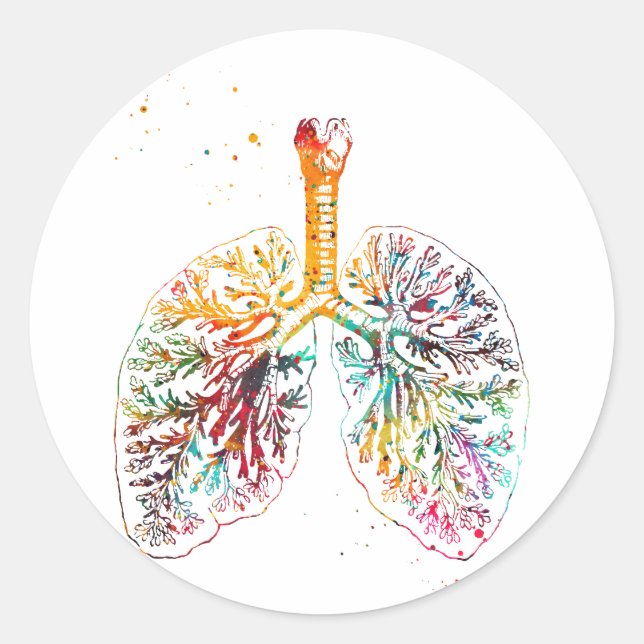Pegatina Redonda Pulmones anatómicos (Anverso)