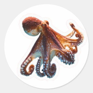 Pegatina Redonda Pulpo Místico del Océano - Criatura Artística de l