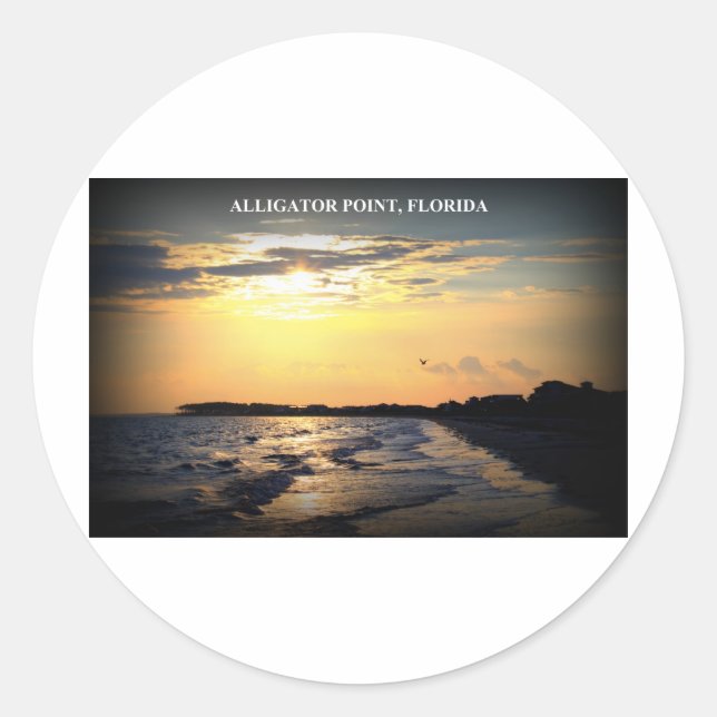 PEGATINA REDONDA PUNTO ALLIGADOR, FLORIDA (Anverso)