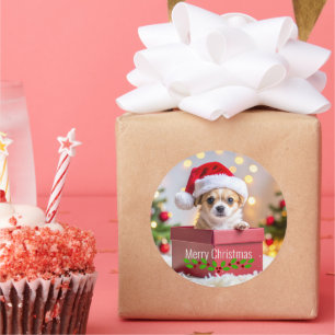 Pegatina Redonda Puppy de Chihuahua en Navidad