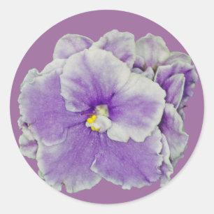 Pegatina Redonda Púrpura violeta africana