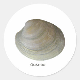 Pegatina Redonda Quahog Clam