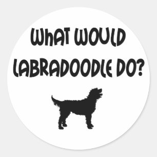Pegatina Redonda ¿Qué Labradoodle haría? Camisetas y regalos