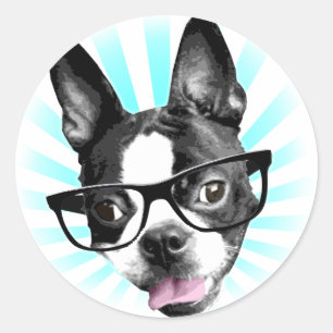 Pegatina Redonda ¡Qué lindo! Hipster Boston Terrier
