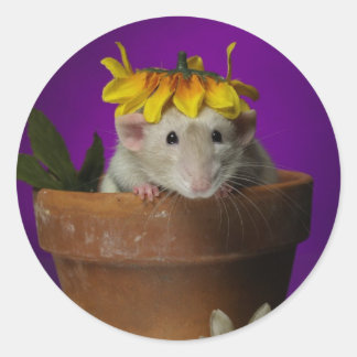 Pegatina Redonda ¿quién ha estado en las flores?