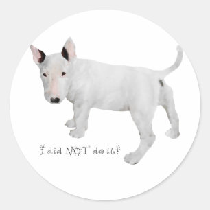 Pegatina Redonda ¿Quién, yo? Cachorro de Bull Terrier