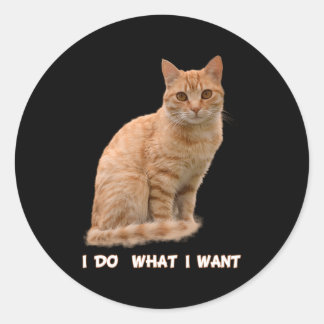 Pegatina Redonda Quiero al Naranja Tabby Cat