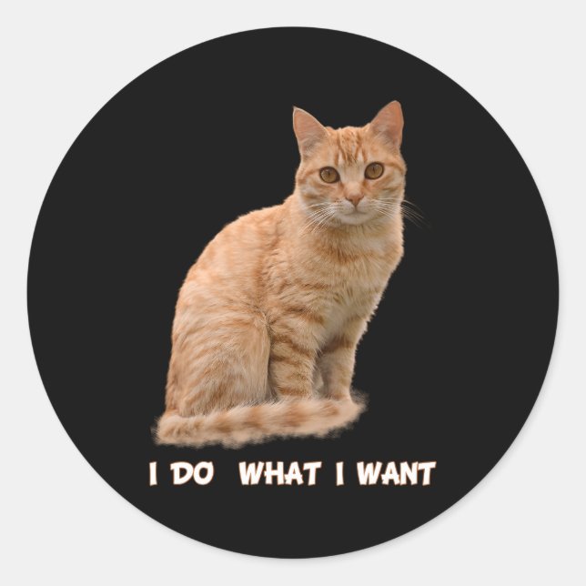 Pegatina Redonda Quiero al Naranja Tabby Cat (Anverso)