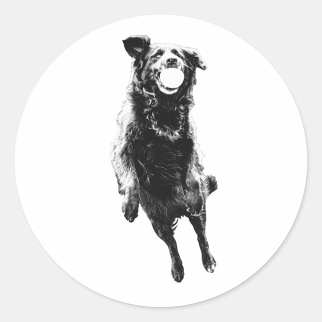 Pegatina Redonda Quiet ball carry (Anverso)