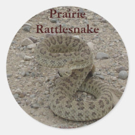 Pegatina Redonda R9 Prairie Rattlesnake Enrollado