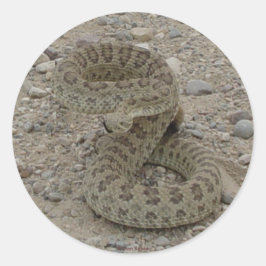 Pegatina Redonda R9 Prairie Rattlesnake Enrollado