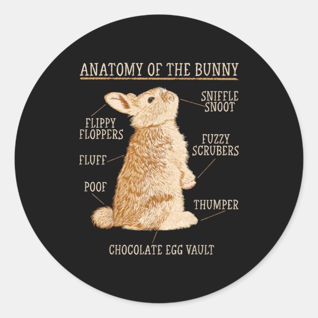 Pegatina Redonda Rabbit Anatomy Bunny Lover Animal Pet Owner  (Anverso)