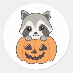 Pegatina Redonda Raccin En Calabaza Dulce Raccoon Feliz Halloween