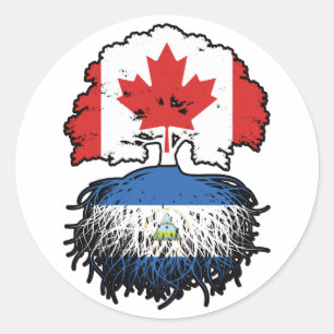 Pegatina Redonda Raíces de árbol canadiense nicaragüense