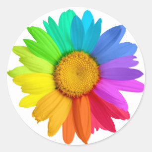 Pegatina Redonda Rainbow Daisy