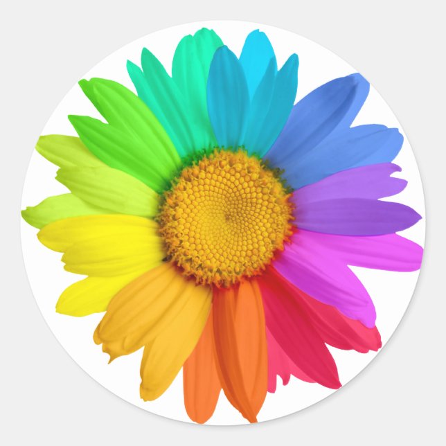 Pegatina Redonda Rainbow Daisy (Anverso)