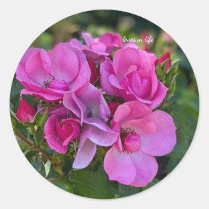 Pegatina Redonda Ramo de rosas lavanda rosadas
