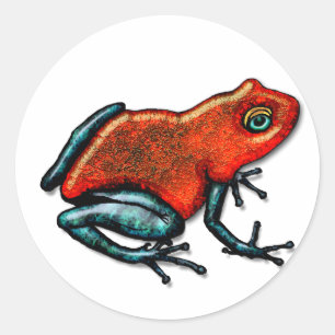 Pegatina Redonda Rana Dart de veneno rojo y verde