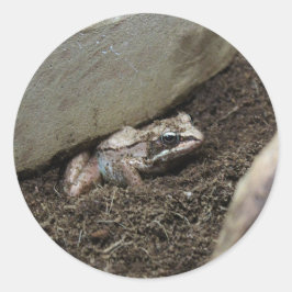 Pegatina Redonda Rana sucia