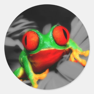 Pegatina Redonda Rana teñida