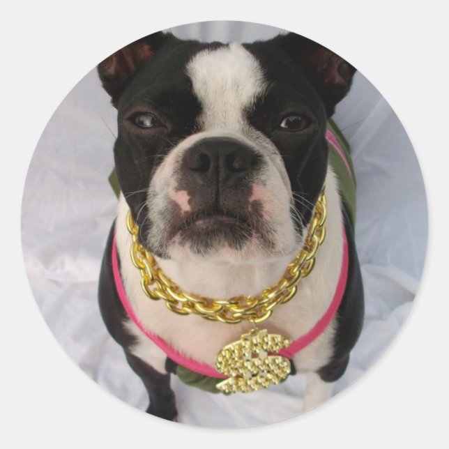 Pegatina Redonda Rapper de Boston Terrier (Anverso)