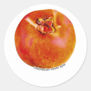 Pegatina Redonda Rara Manzana Terciopelo Exótica Bisbul - Trópico I