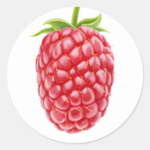 Pegatina Redonda Raspberry