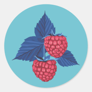 Pegatina Redonda Raspberry sobre fondo azul