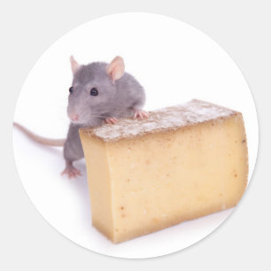 Pegatina Redonda rata con queso