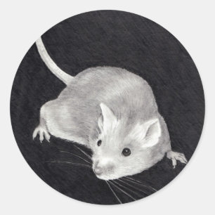 PEGATINA REDONDA RATÓN: ARTE DEL REALISMO DEL LÁPIZ