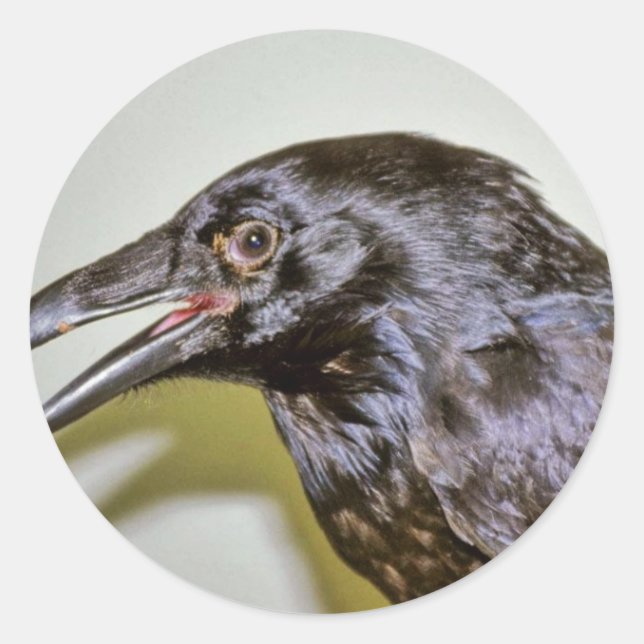 Pegatina Redonda Raven (Anverso)