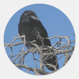 Pegatina Redonda Raven