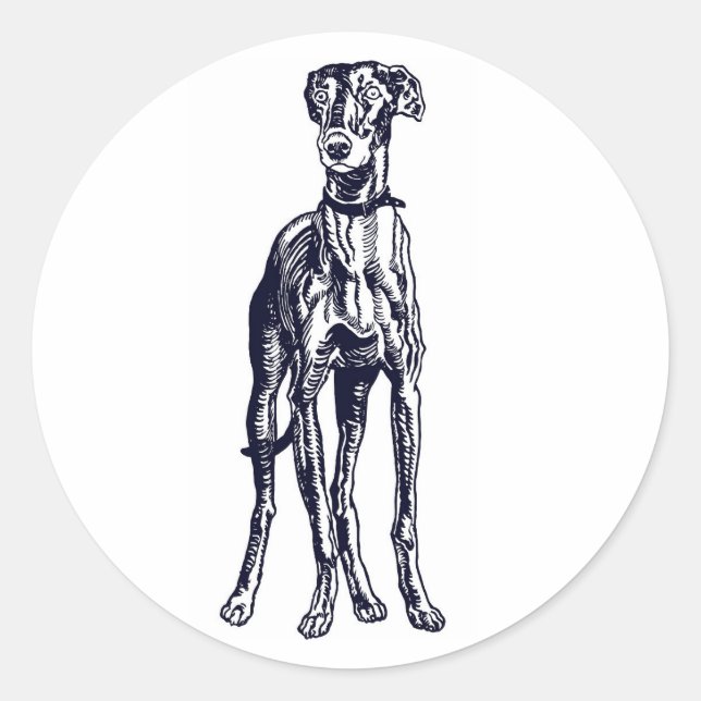 Pegatina Redonda Raza de Greyhound inglesa (Anverso)