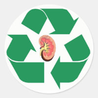 Reciclar el riñón
