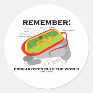 Pegatina Redonda Recuerden: Los Prokaryotes dominan el mundo