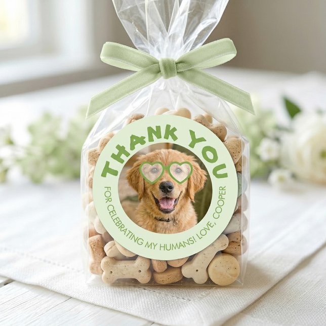 Pegatina Redonda Recuerdos de Boda de Golosinas para Perritos Foto  (Dog Treats Bag Stickers for Favors from Couple)