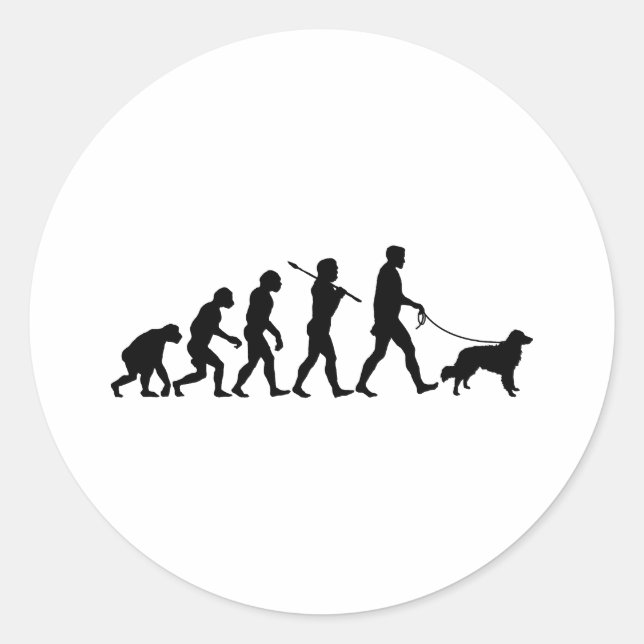 Pegatina Redonda Recuperador de peaje de pato de Nueva Escocia (Anverso)