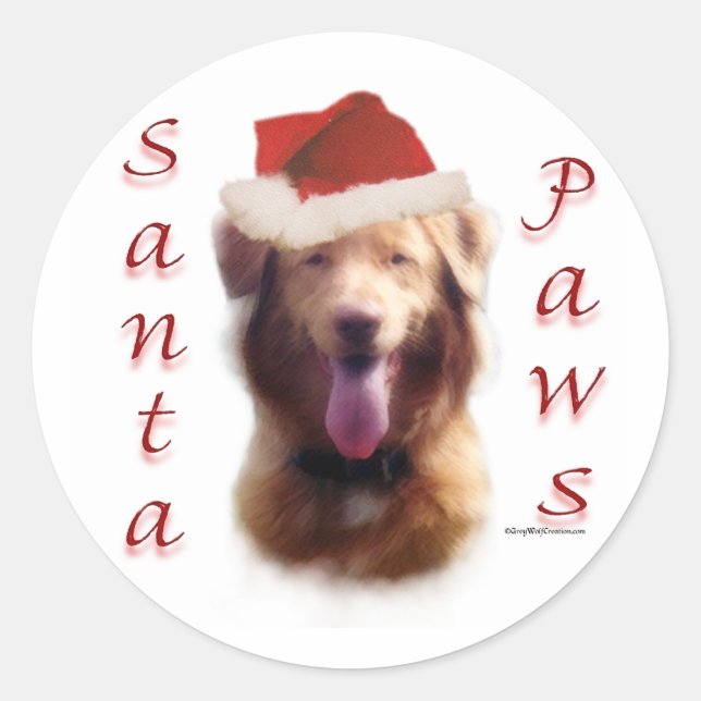 Pegatina Redonda Recuperador de peaje de pato de Nueva Escocia Sant (Anverso)