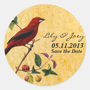 Pegatina Redonda Red Bird