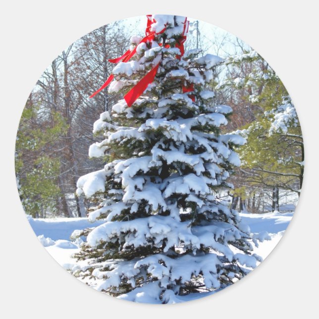 Pegatina Redonda Red Bow Evergreen (Anverso)