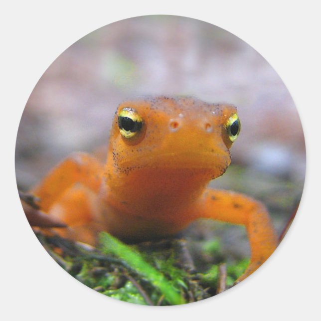 Pegatina Redonda Red Eft (Anverso)