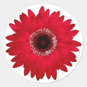 Pegatina Redonda Red Gerbera Daisy